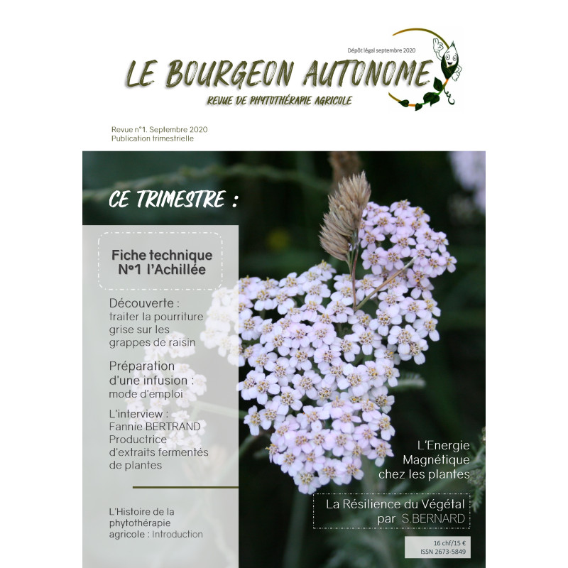 Revue n°1 Le Bourgeon Autonome