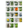 Pack 19 revues